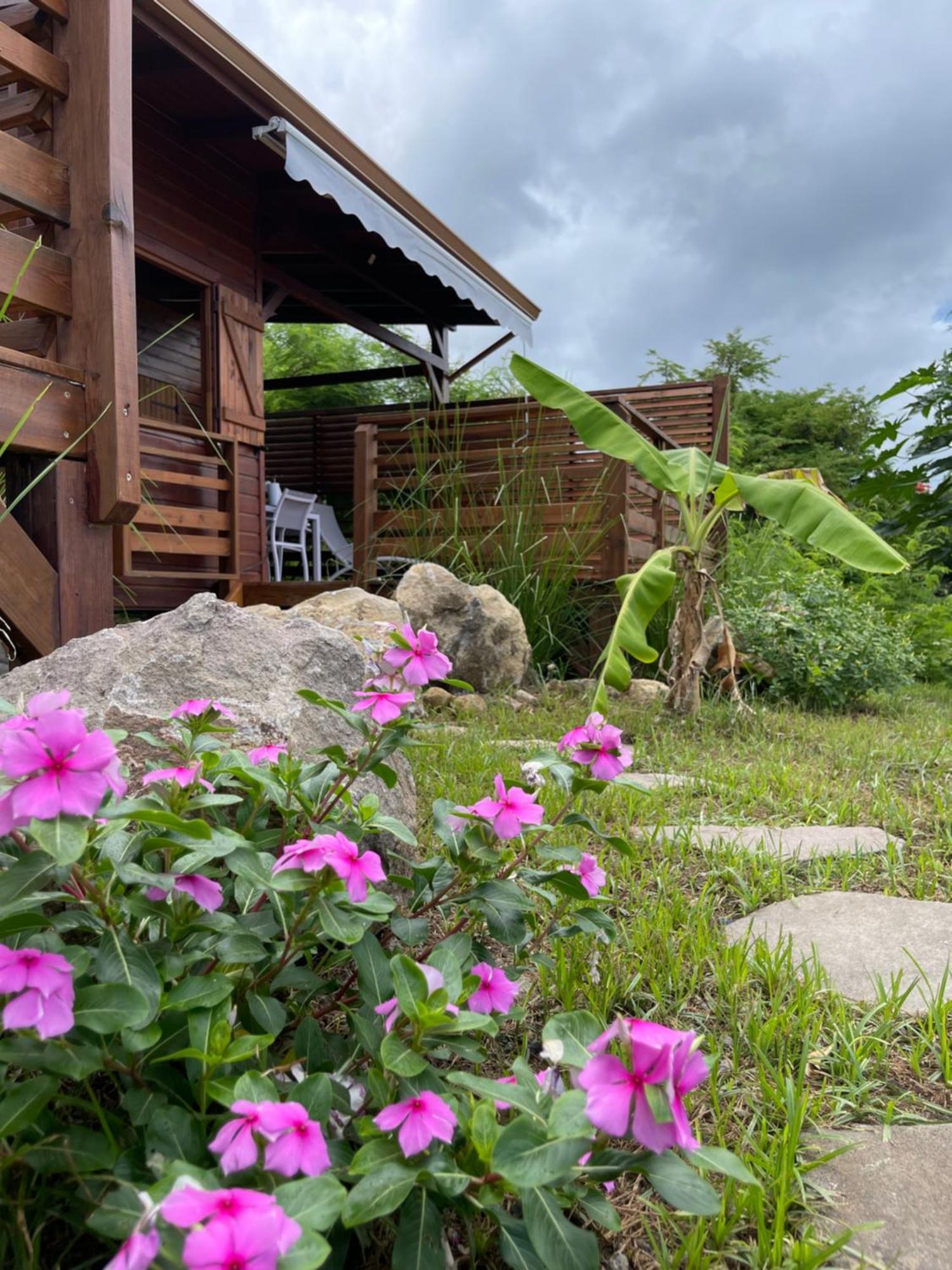 Bungalow Lanar'Am Graj - 2 Bouillante Buitenkant foto